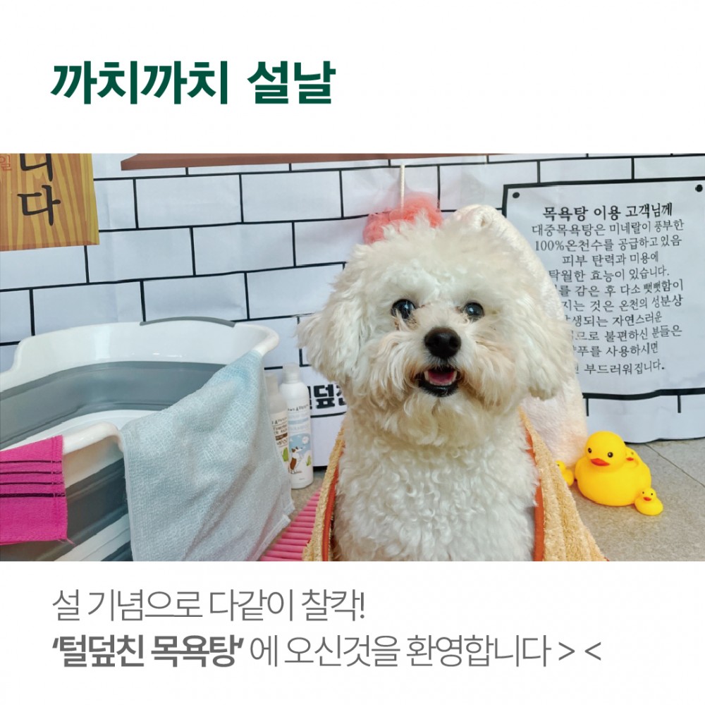 090034aed363d2fa33d66114646e956a_1675664548_1635.jpg
