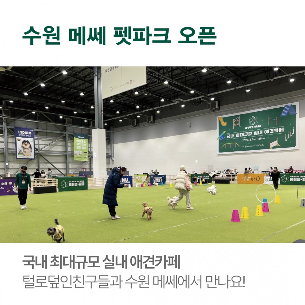 090034aed363d2fa33d66114646e956a_1675664549_7782.jpg