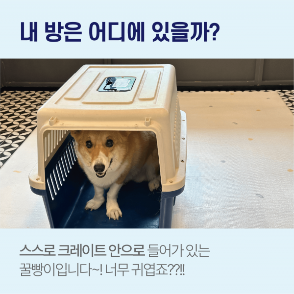 2d570bd93932c974a7c136415d113d00_1688550728_2666.png